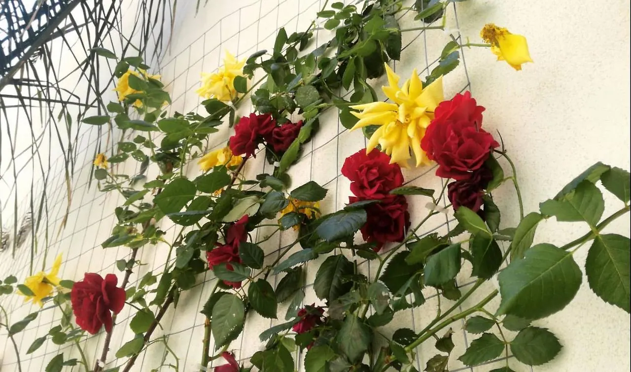 8Room Hotel Catane